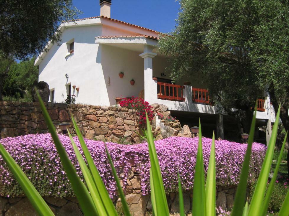 Maravilla Loiri Porto San Paolo Luaran gambar